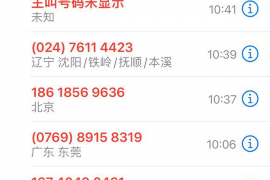 宁乡宁乡专业催债公司，专业催收